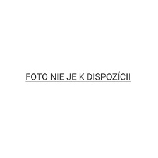 ESET Smart Security Premium pre 1 zariadenia, nová licencia na 1 rok