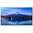 Sharp MultiSync® P436, LCD 43" Profesionální public displej, 3840 x 2160, 24/7, 700 [cd/m2]