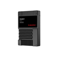SanDisk Carrera Syndicate SSD 3.84TB DC, SN861, PCIe Gen5, (R:13700, W:7200MB/s), BICS6 TLC NVMe U.2, ISE,Generic