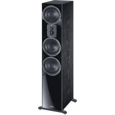 Magnat Signature 507 sloupový reproduktor, černý