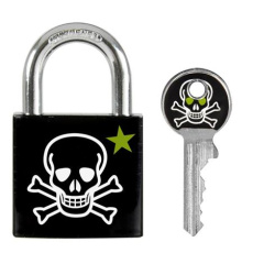 Master Lock Visací zámek z pevného hliníku 3430EURDSKULL - 30mm Master Lock Visací zámek z pevného hliníku 3430EURDSKULL - 30mm