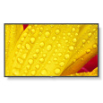 SHARP/NEC LFD 55" MultiSync M551-2, IPS, 3840x2160, 500nit, 8000:1, 8ms, 24/7, DP, HDMI, LAN, USB, Mediaplayer