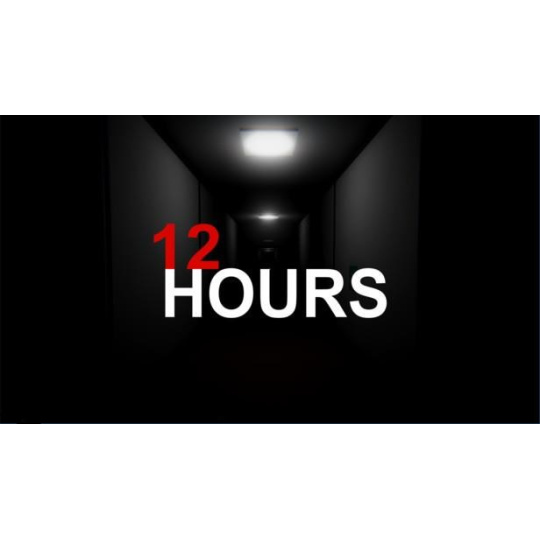 12 HOURS (PC) klíč Steam