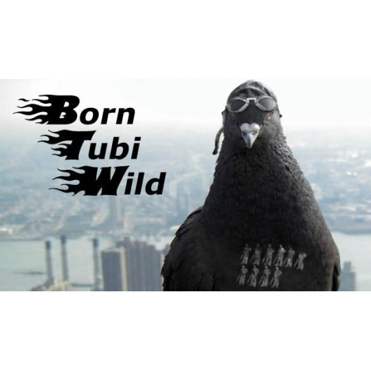 Born Tubi Wild (PC) klíč Steam