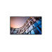 Philips hospitality  50" 50BFL2114/12