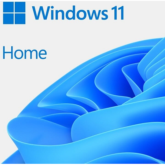 20 PCK Windows 11 Home 64Bit OEM + JBL Flip 7