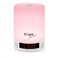 VIGAN BR1 Color bluetooth reproduktor 2v1 VIGAN BR1 Color bluetooth reproduktor 2v1