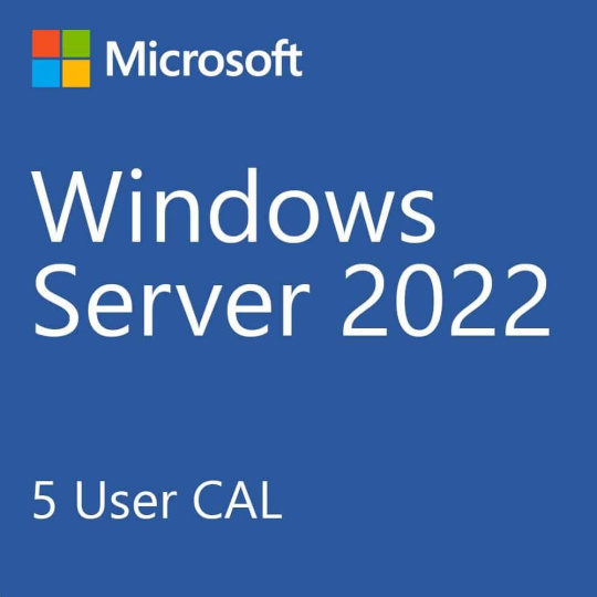 DELL_CAL Microsoft_WS_2022/2019_5CALs_User (STD or DC)