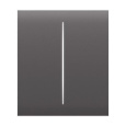 Ajax  CenterButton (2-gang) - Středové dvou tlačítko, šedá